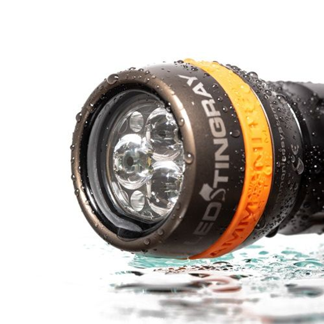 Ammonite Led Sting Ray basic set plus