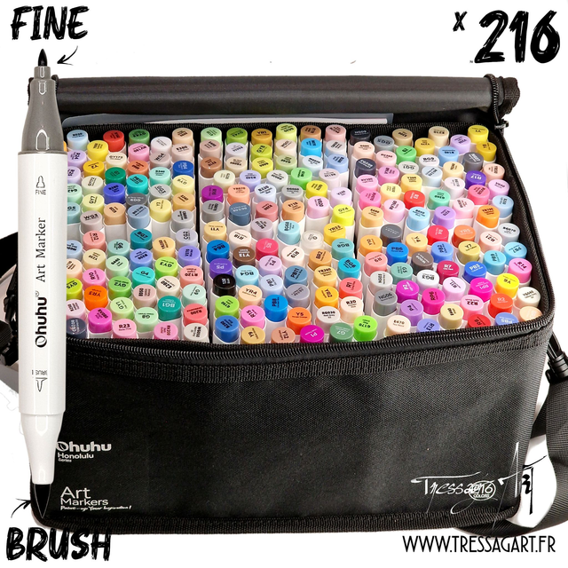 OHUHU - 216 FEUTRES ALCOOL HONOLULU B - DOUBLE POINTE : PINCEAU ET FINE - OH004