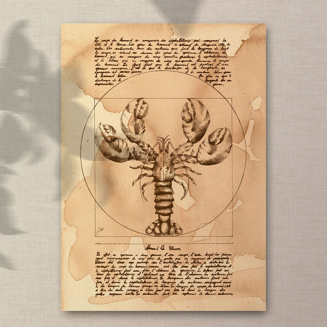 Affiche A4 - Café - Homard de vitruve