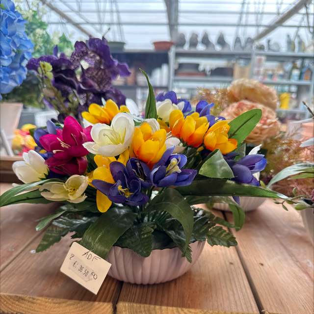 Composition de crocus 