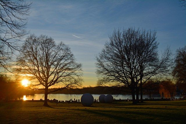 Aaseekugeln im Abendlicht