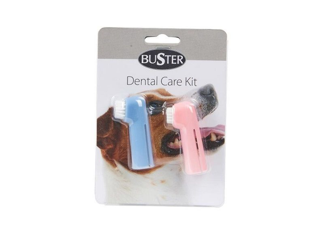 Buster Dental Care Kit (1 brush + 1 gum massager)