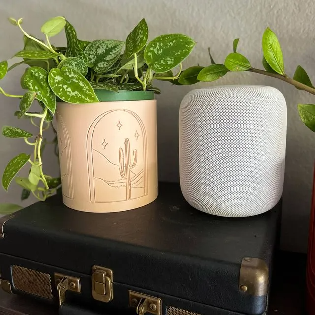 Cactus Indoor Planter, Desert Boho Planter, 3D Printed Planter, Modern Minimalist Planter, Minimalist Succulent Planter Pots, Plant Mom Gift - Green