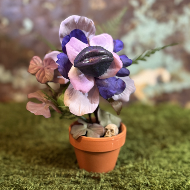 8.🌱 Specimen Name: The Siren’s Blossom