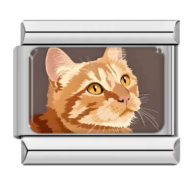 Charm Gatito Amarillo