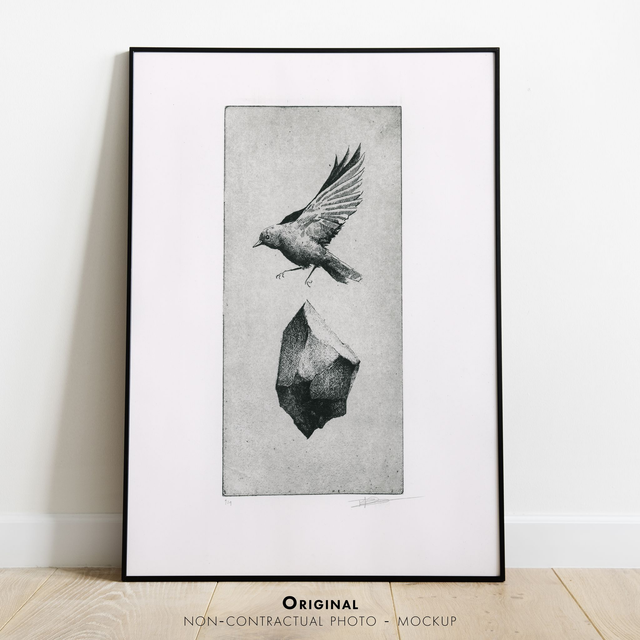 Fine art etching / Not framed / Erithacus Rubecula bird