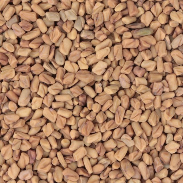 Fenegriek (fenugreek) (Trigonella foenum-graecum) - BIO