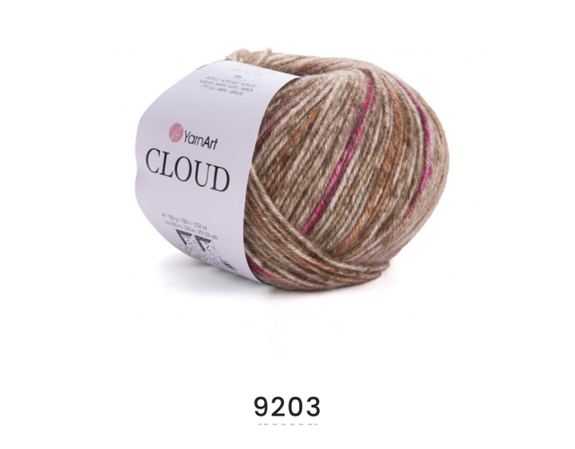 Cloud 9203