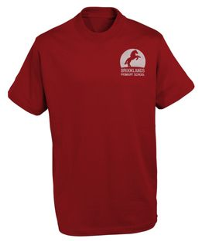 PE T-Shirt (Branded) - Red