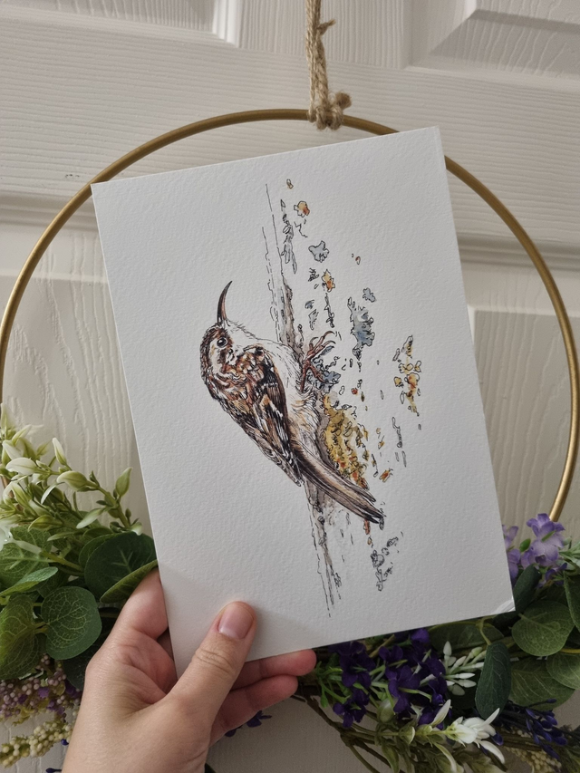 CLEARANCE - Old Paper Stock (textured) - "Treecreeper" - A5 size. 