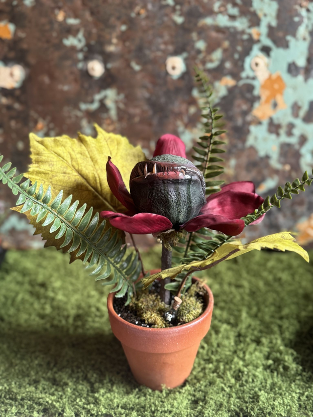 55.🌺 Specimen: The Scarlet Mawthorn