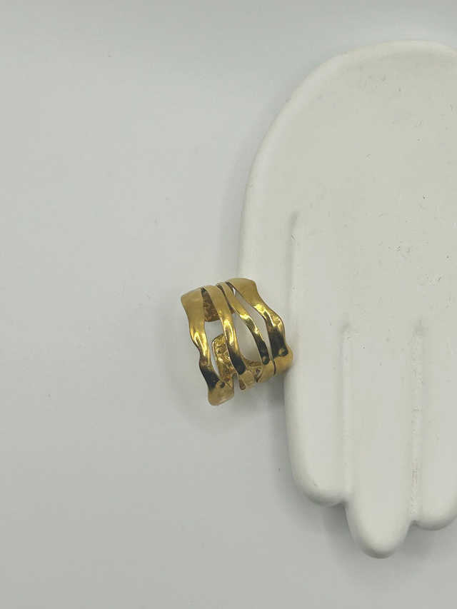 Stainless Steel Ring (SSR51J)