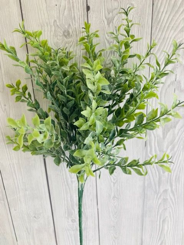 Parviflia Stem Green