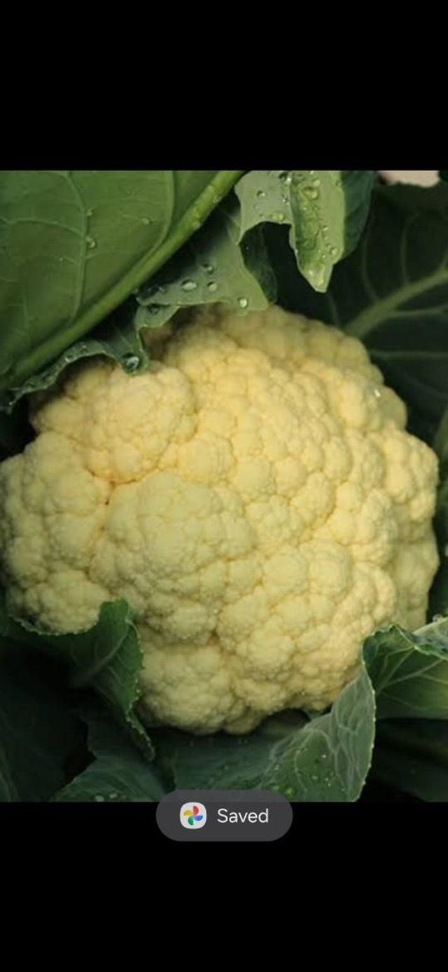 Z Veg Cauliflower 