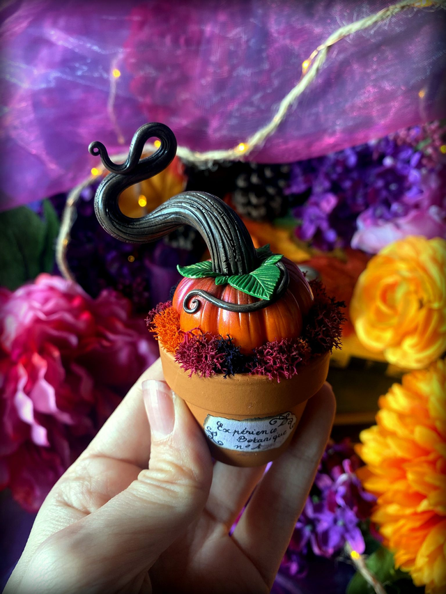 Expériences botaniques