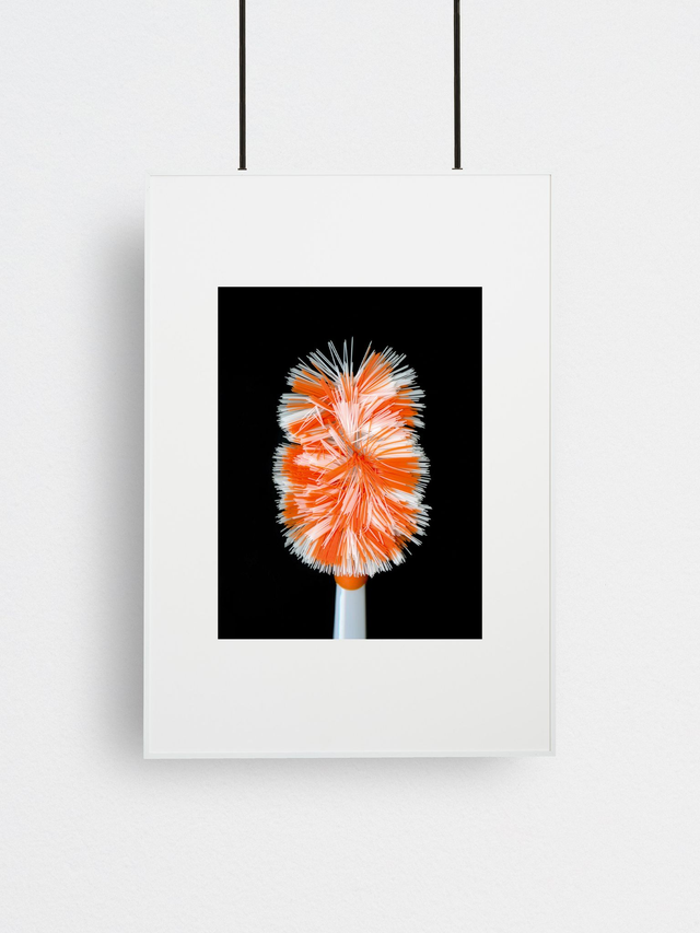 Polymer Palm 2, Fine Art Print