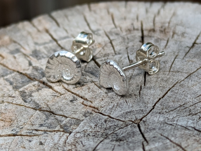 Medium Ammonite Earrings