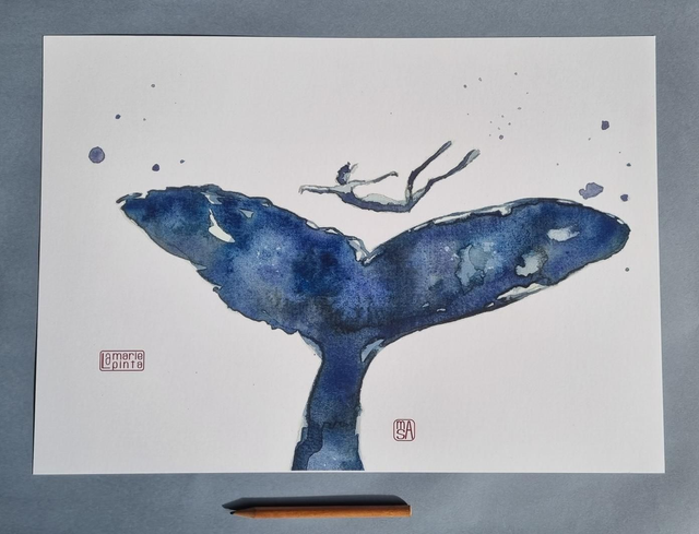 baleine Nageuse à partir de 4€