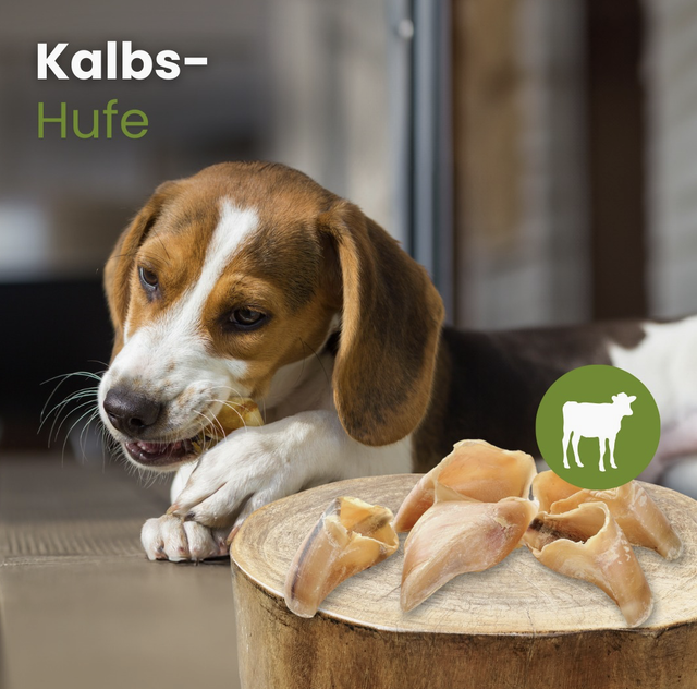 Kalbs Hufe getrocknet, 10 Stück