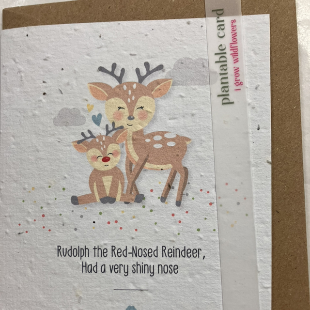 Seed Card Christmas Reindeer 