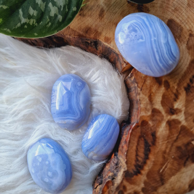 Blue Lace Agate Palm 