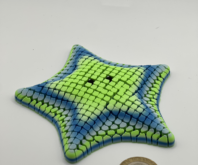 Starfish fidget