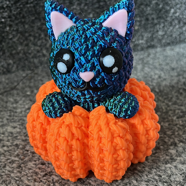 cat in a pumpkin