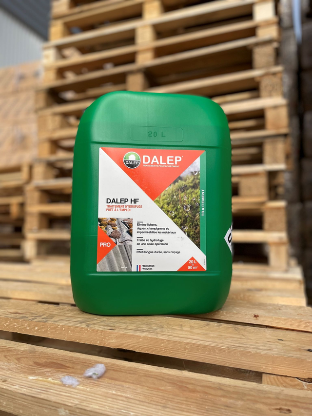 DALEP HF 2en 1  Fongicide hydrofugeant 20L