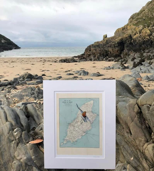 Dawn Kennaugh A4 mounted prints