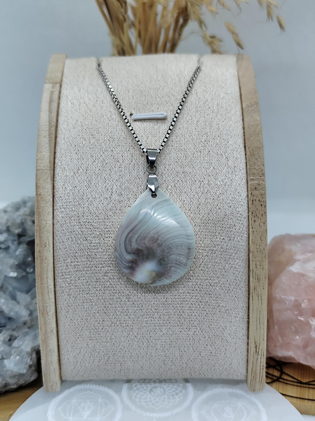 Oeil de sainte Lucie 