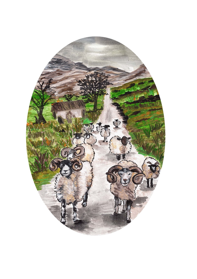 Sheep in Scottish highlands - a4 print