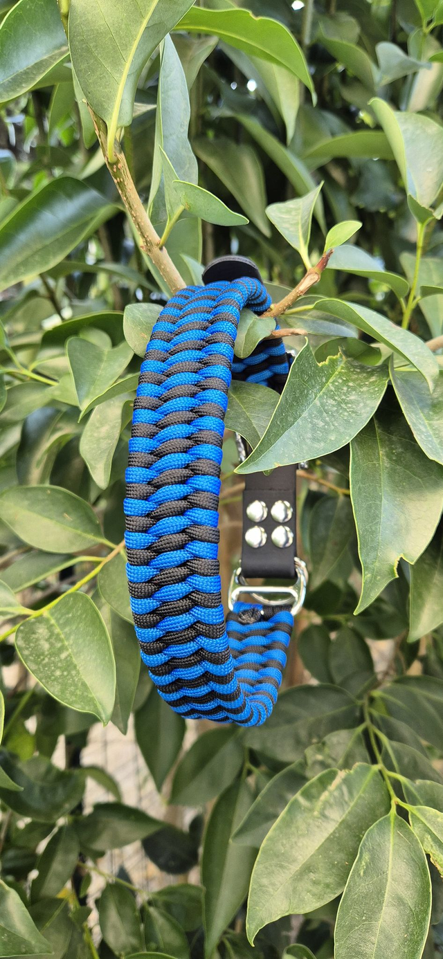 Collier biothane - Taille L