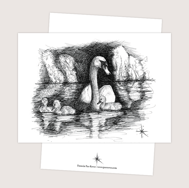 Carte &quot;Cygnes&quot;