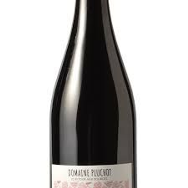 Côte Roannaise cuvée Arris Domaine Pluchot 2023