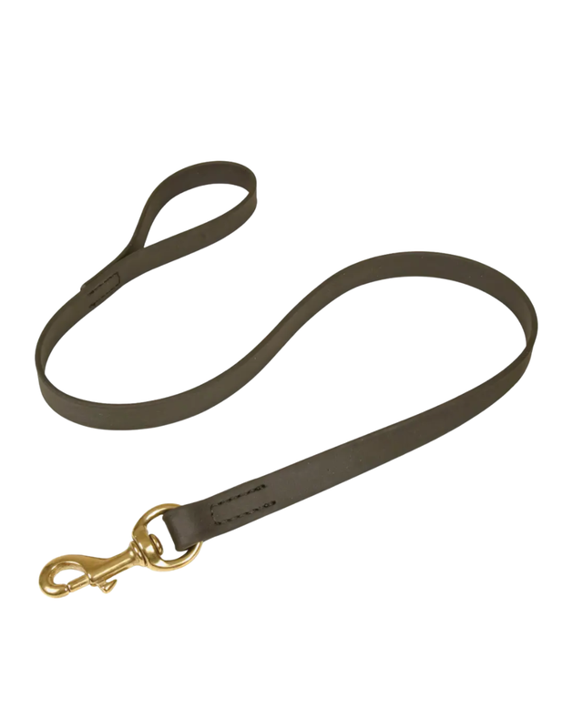 Laisse biothane 2m x 12mm