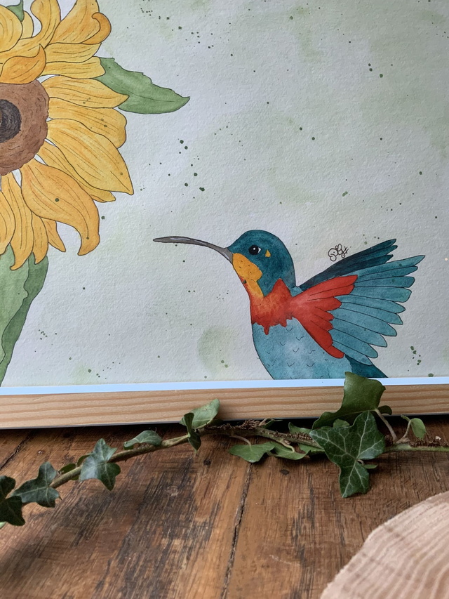 « Colibri flamboyant »