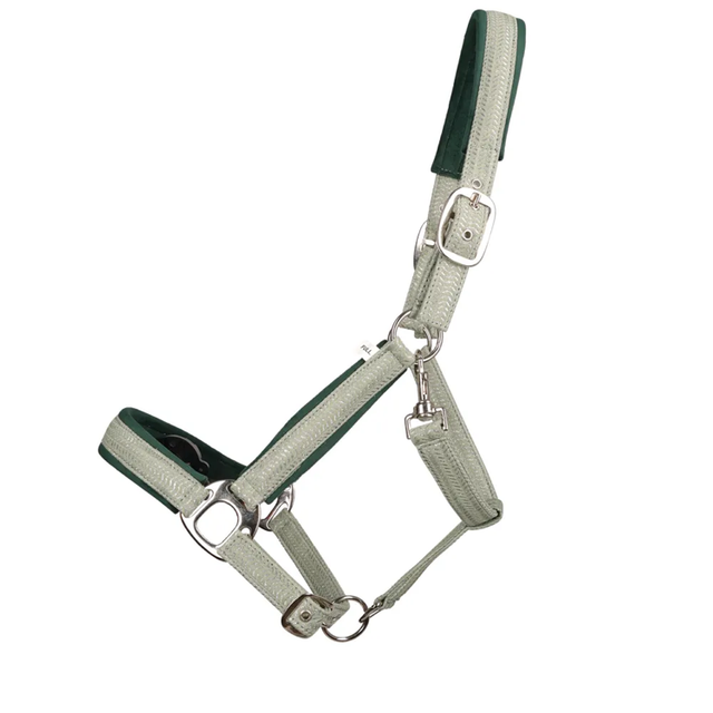 HY Mermaid Shimmer Head Collar & Lead Rope MINT GREEN