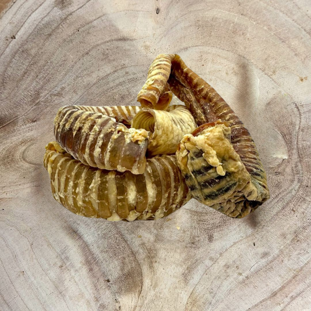 Beef Trachea Rings