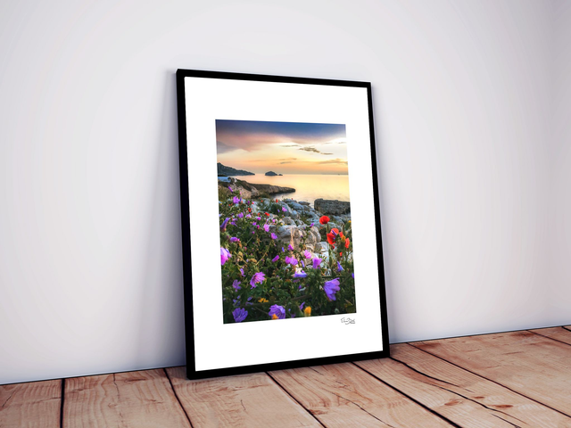 Affiche « Le pouvoir des fleurs »