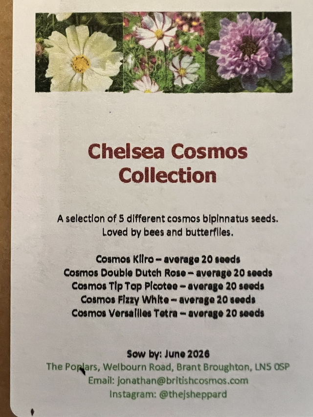 Chelsea Flower Show Cosmos Collection (Number 2)