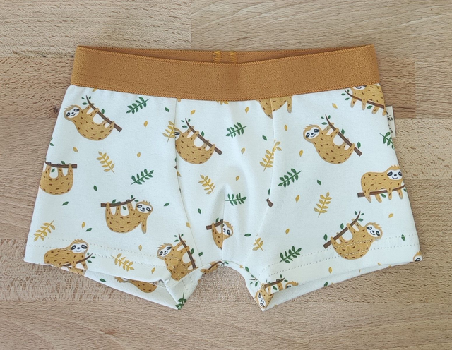 Boxer Rêve de Paresseux