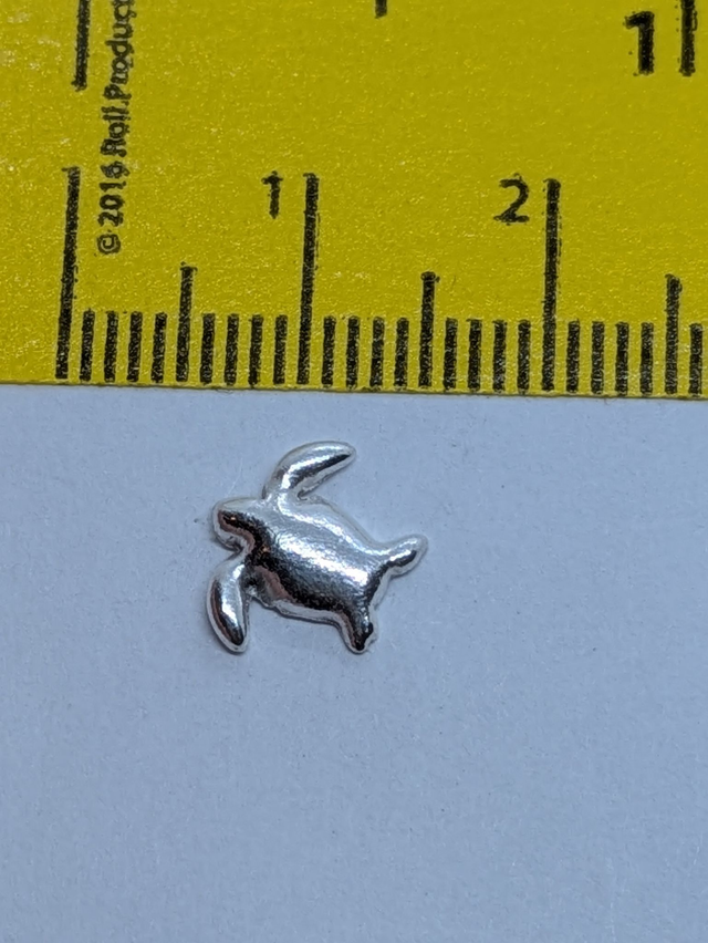 Large Turtle Earrings