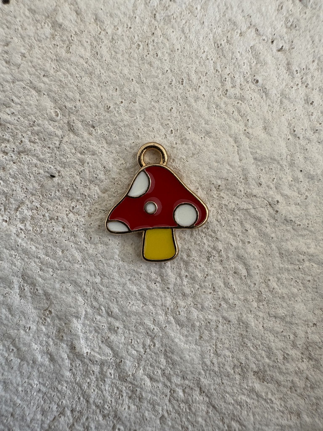 Charm Champignon rouge - plat 