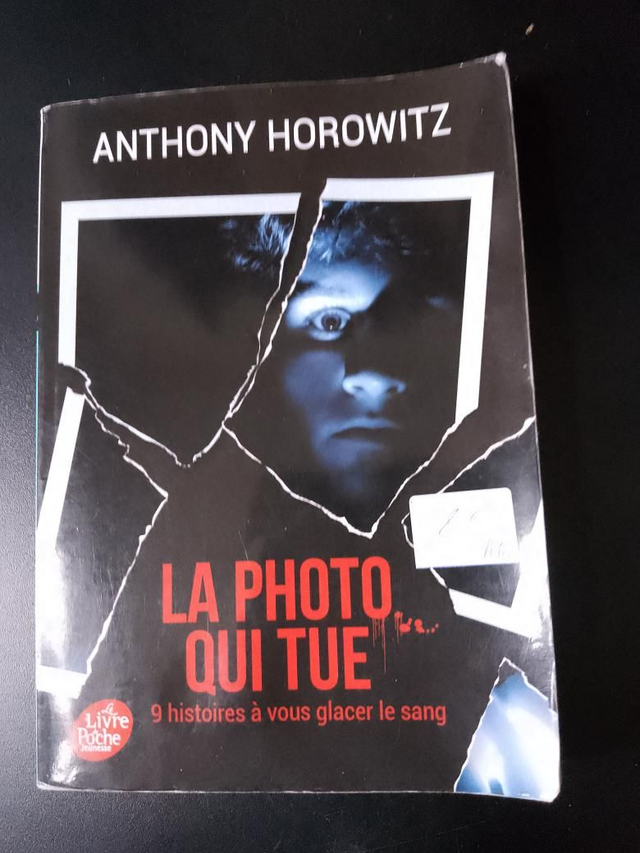 La photo qui tue, Anthony Horowitz