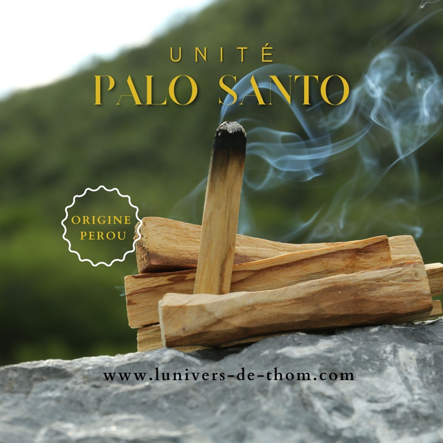 Bâton de Palo Santo Unique