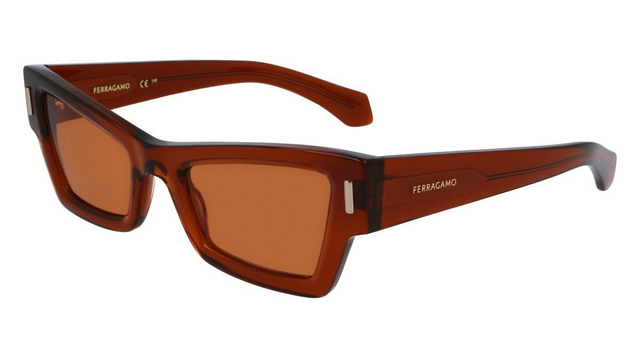 Eyewear Woman Salvatore Ferragamo  SF2006S 232