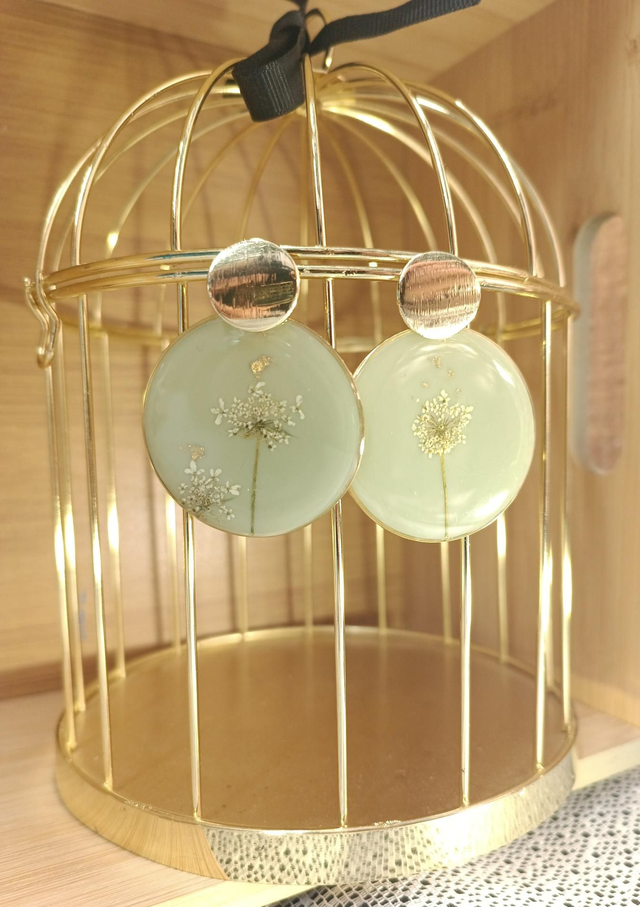 Carotte sauvage sur fond vert