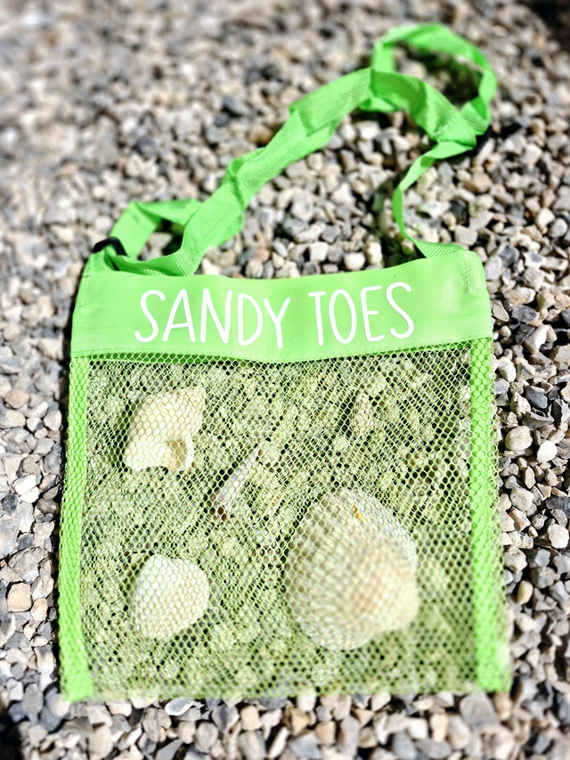 Green Mesh Beach Bag