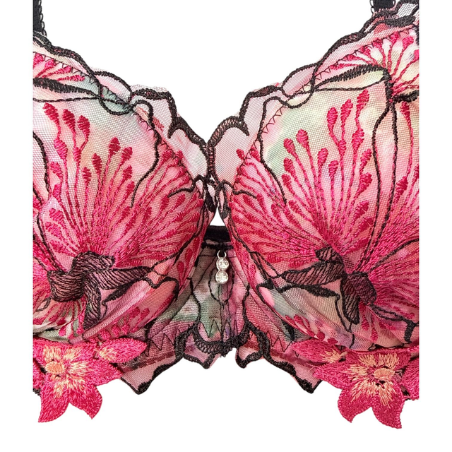 Red + black multicolour intricate embroidered Japanese Bra UK 30A