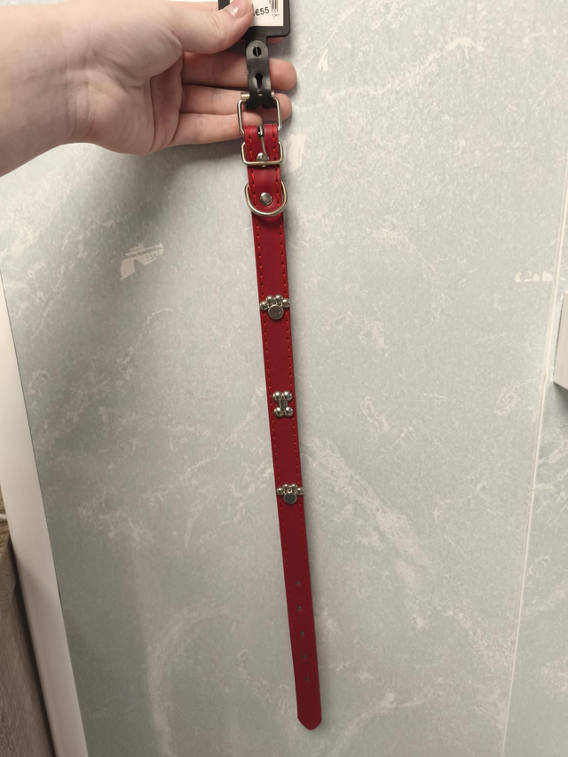 Collier cuir 20mm décor métal 